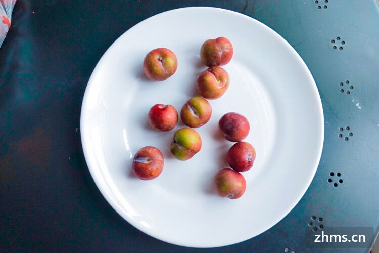 小猪补硒药物（小猪药物补硒方法）-硒宝网