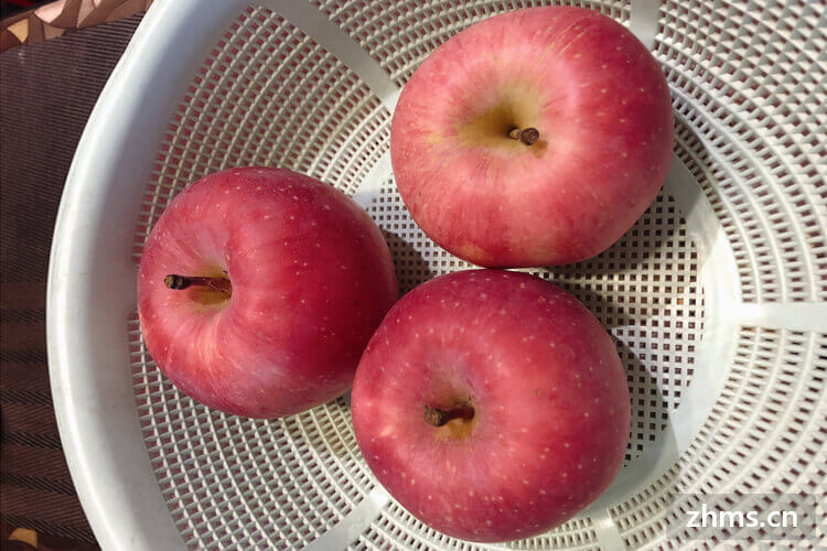 小猪补硒药物（小猪药物补硒方法）-硒宝网