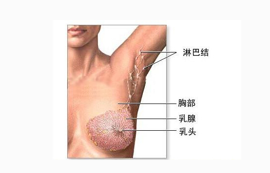 宫颈腺癌补硒(补宫颈硒腺癌的药物)-硒宝网