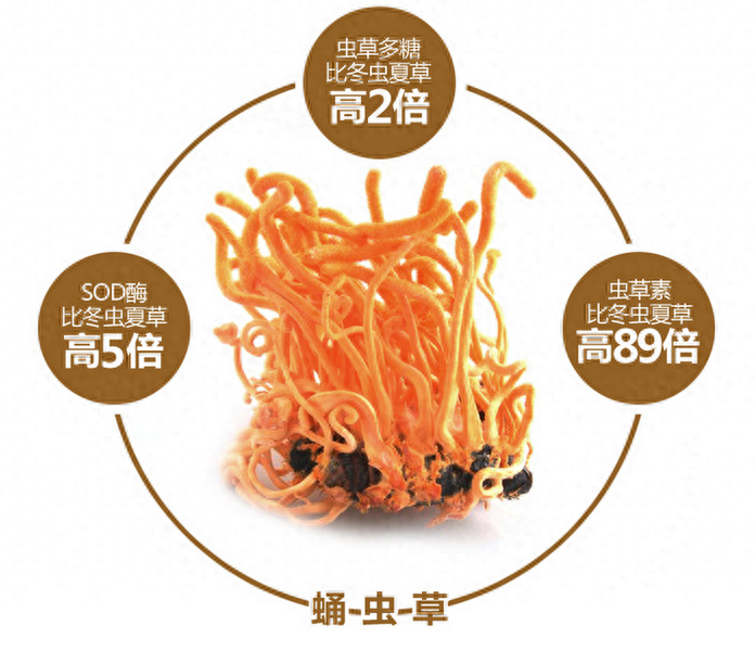 硒se怎么补(补硒的作用与功效)-硒宝网