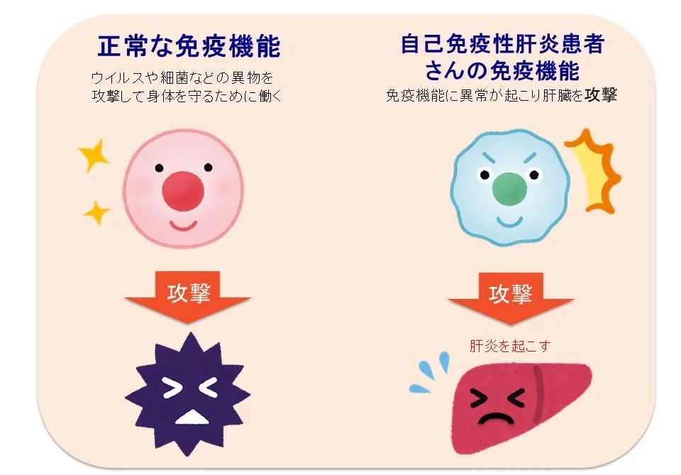 护肝片和补硒(补硒能护肝吗)-硒宝网