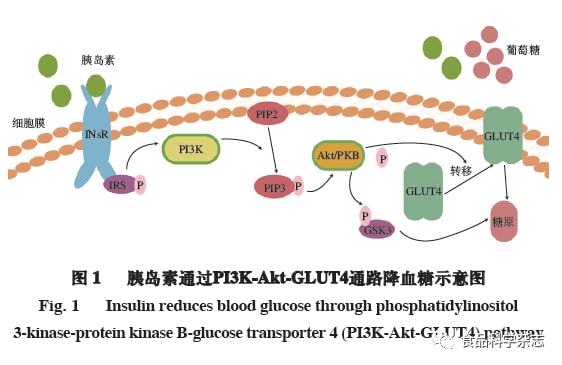 补硒血糖升高(升高血糖补硒的食物)-硒宝网
