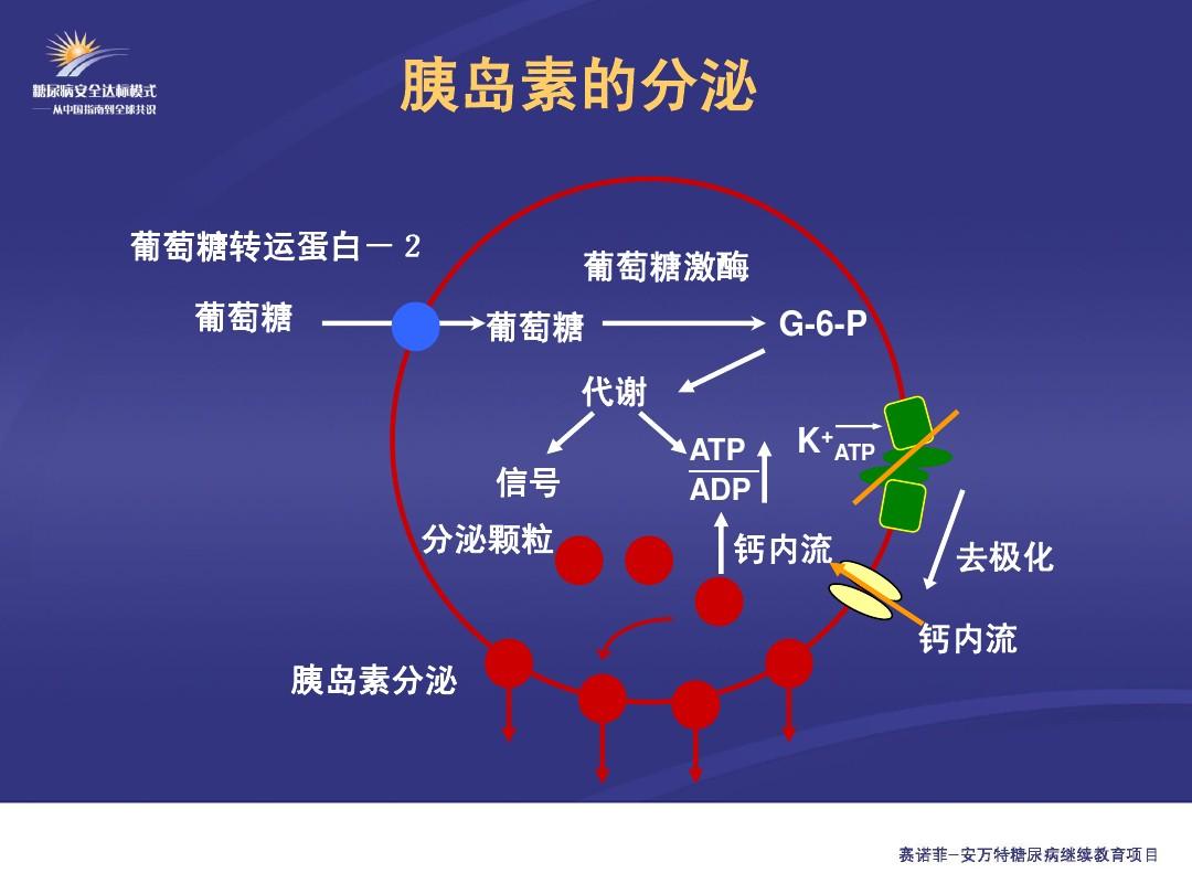补硒血糖升高(升高血糖补硒的食物)-硒宝网