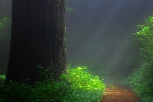 补硒期间感冒(感冒吃硒片有用吗)-硒宝网