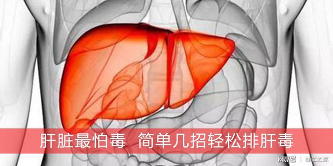 西瓜怎样补硒(硒西瓜好不好吃)-硒宝网