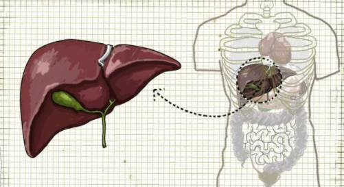 补硒经期腹泻（腹泻经期补硒有效果吗）-硒宝网