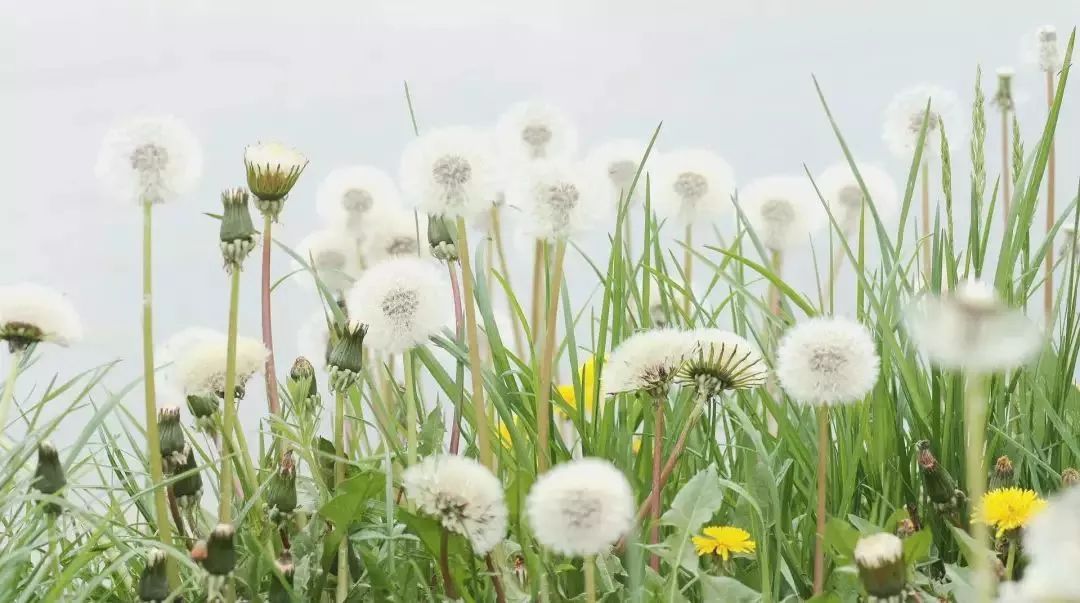胃癌晚期补硒(晚期补胃癌硒的作用)-硒宝网