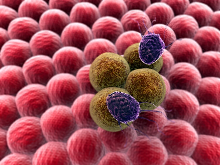 癌症补什么硒(癌症补硒每天多少)-硒宝网