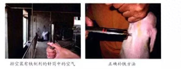 仔猪补硒中毒（仔猪补硒中毒）-硒宝网