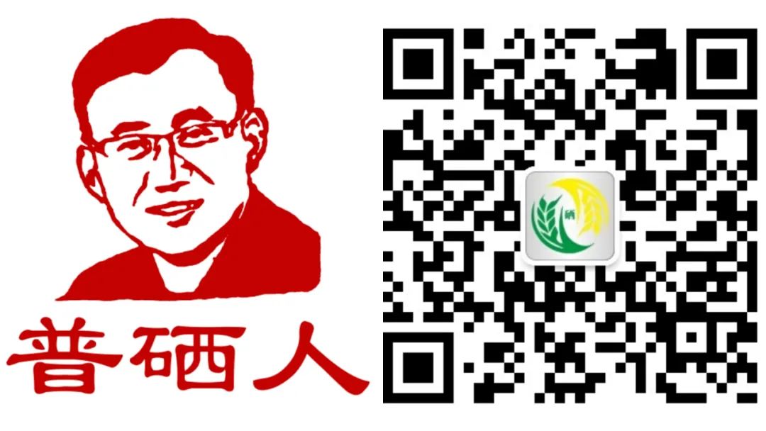 专业补硒产品(专业补硒产品)-硒宝网