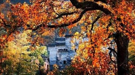 北大科学补硒(北大富硒康补硒怎么样)-硒宝网