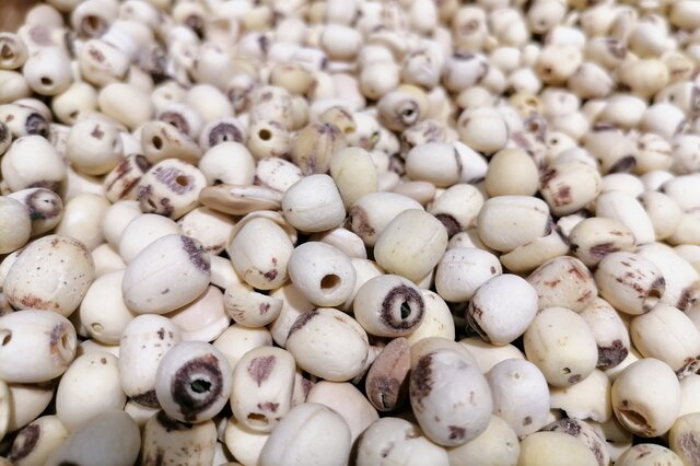 食物补硒排名(食物补硒排名)-硒宝网