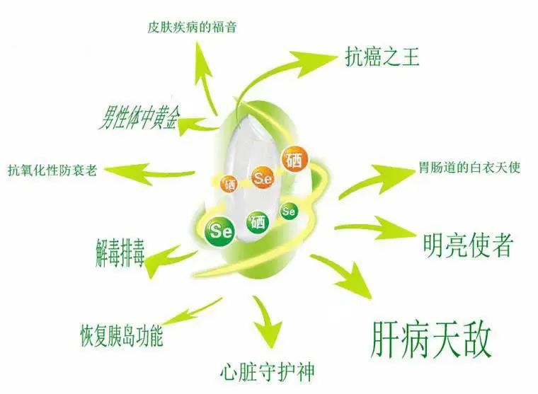 湖南补硒专家(湖南全民补硒工程)-硒宝网