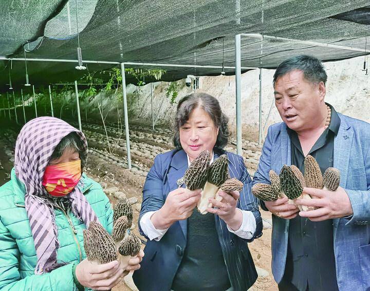 果树如何补硒(水果补硒)-硒宝网