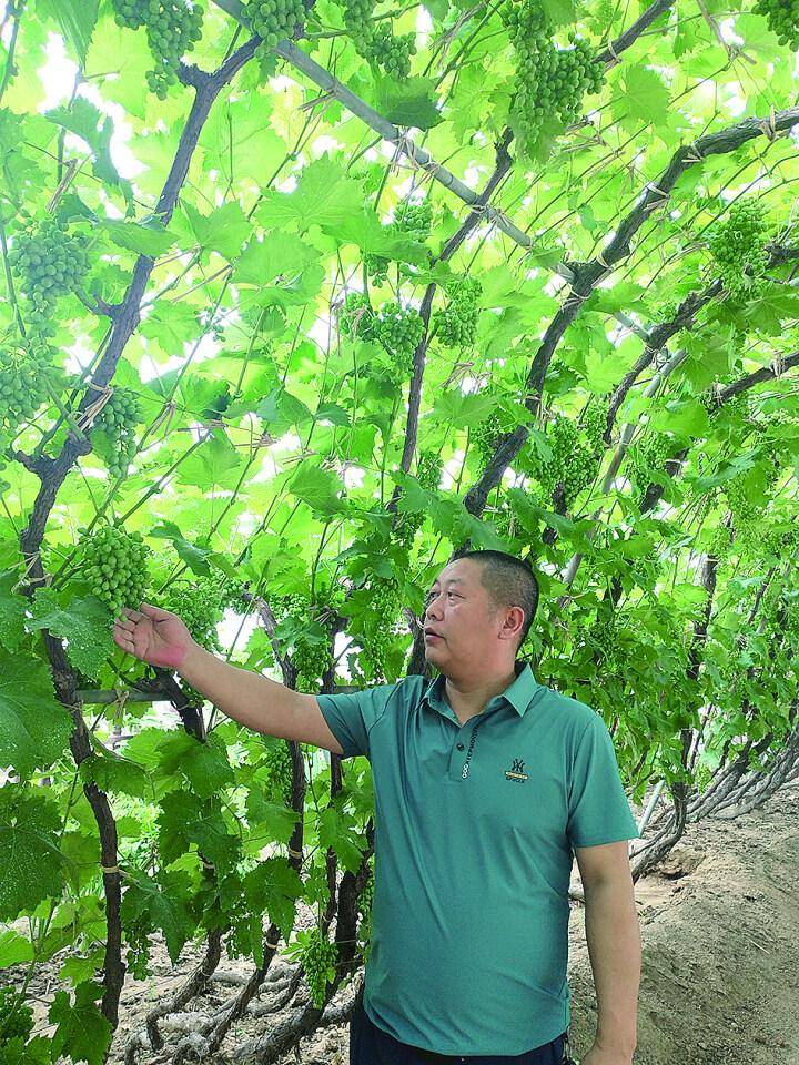 果树如何补硒(水果补硒)-硒宝网