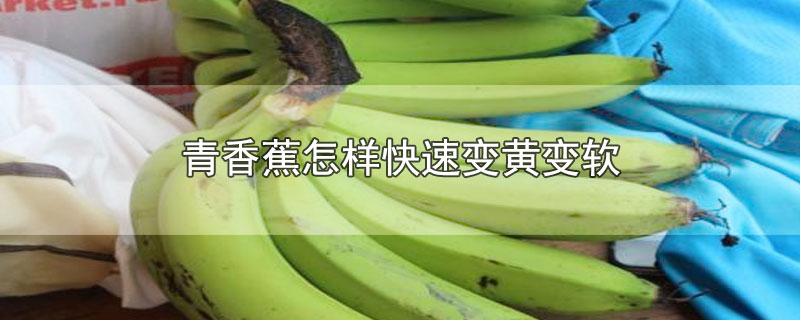 果树如何补硒（果树补硒有增糖效果吗）-硒宝网
