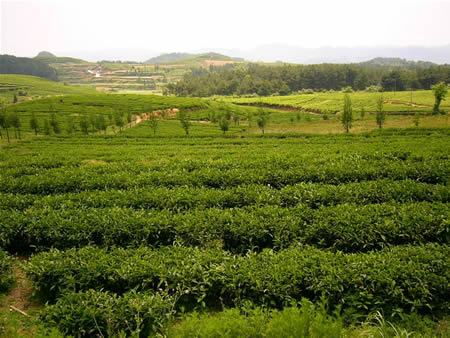 自己如何补硒(补硒对hpv有效果吗)-硒宝网