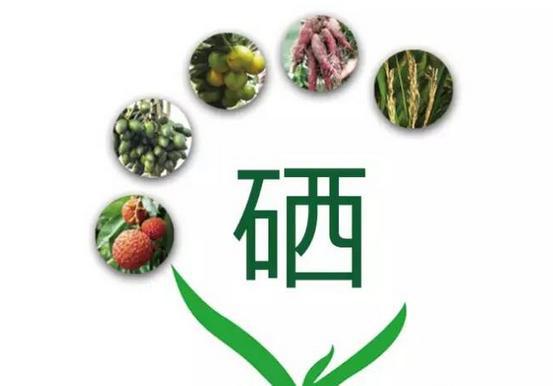 补硒从我做起（补硒有什么用）-硒宝网