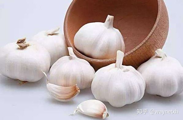 食物补硒排名(食补硒什么食物最佳)-硒宝网