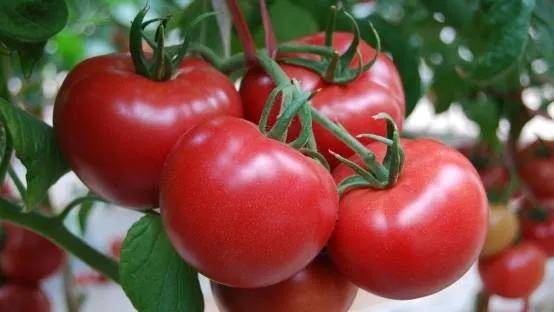 市场补硒人口(中国缺硒人口)-硒宝网