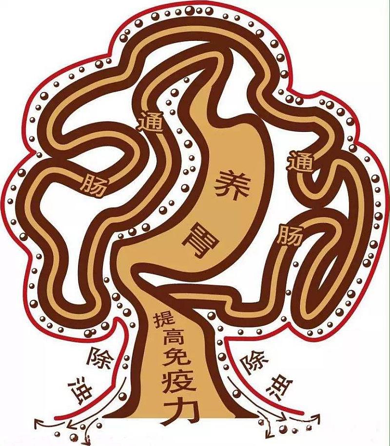 怎样定量补硒（定量补硒的好处）-硒宝网