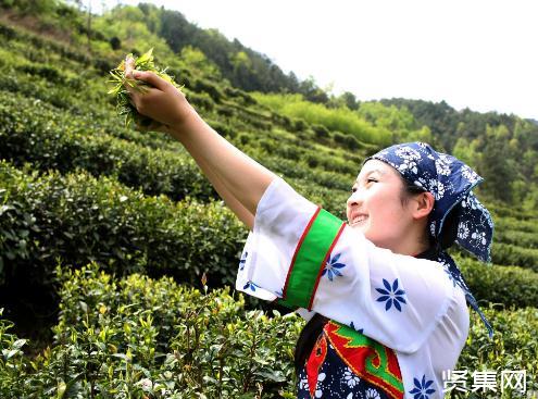 政府建议补硒(国家提倡全民补硒)-硒宝网