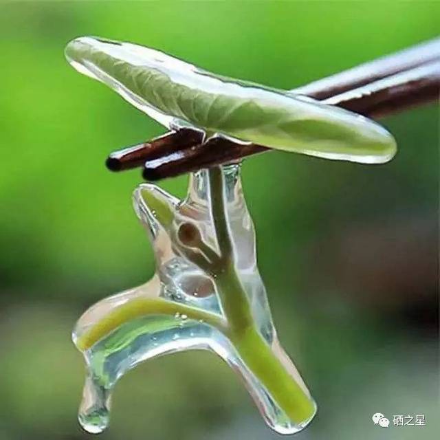 全民补硒湖北(全民补硒视频宣传)-硒宝网