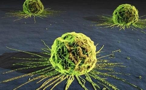 肿瘤体质补硒(肿瘤病人补硒)-硒宝网