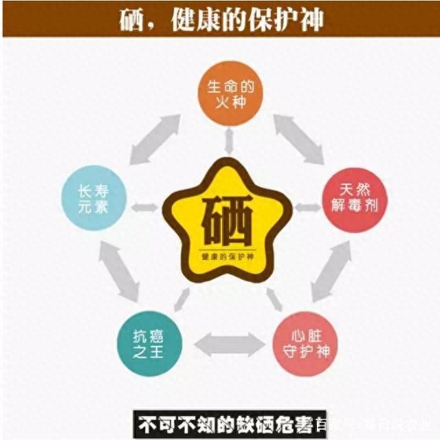 补硒什么才好(那种补硒产品好)-硒宝网