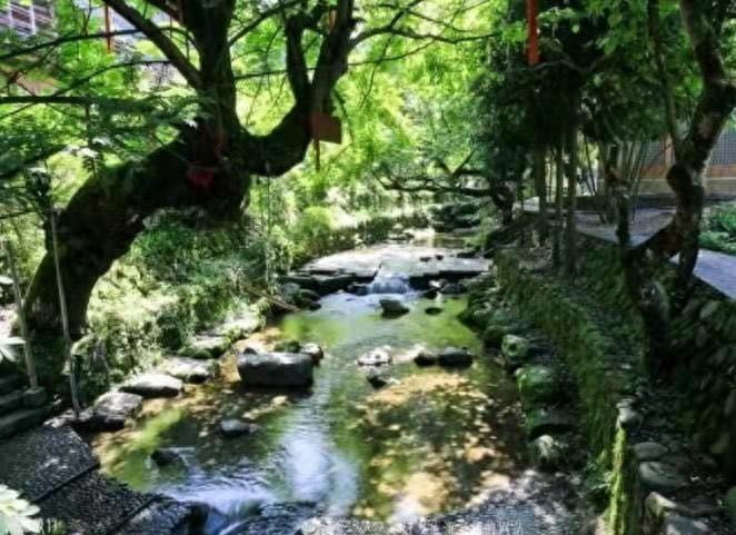 补硒什么才好(那种补硒产品好)-硒宝网