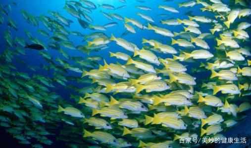 癌症补硒骗局(癌症补硒元素有用吗)-硒宝网