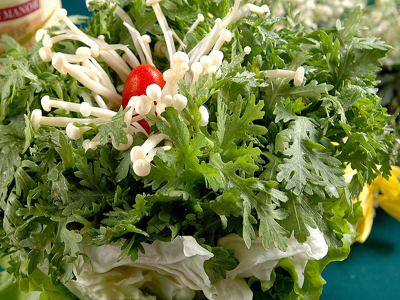 种子催芽补硒（种子补催芽硒含量多少）-硒宝网