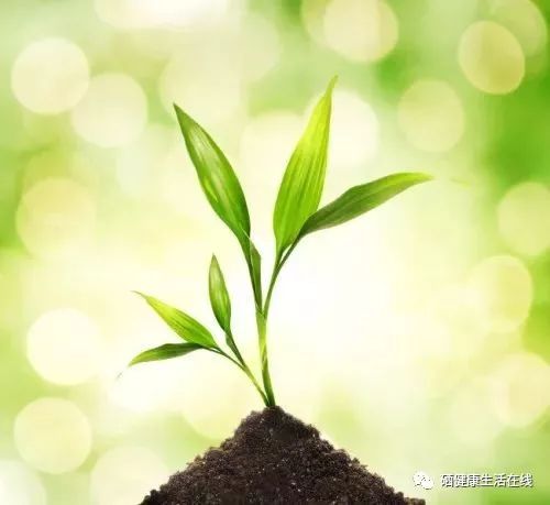 癌症补硒骗局（癌症病人补硒的骗局）-硒宝网