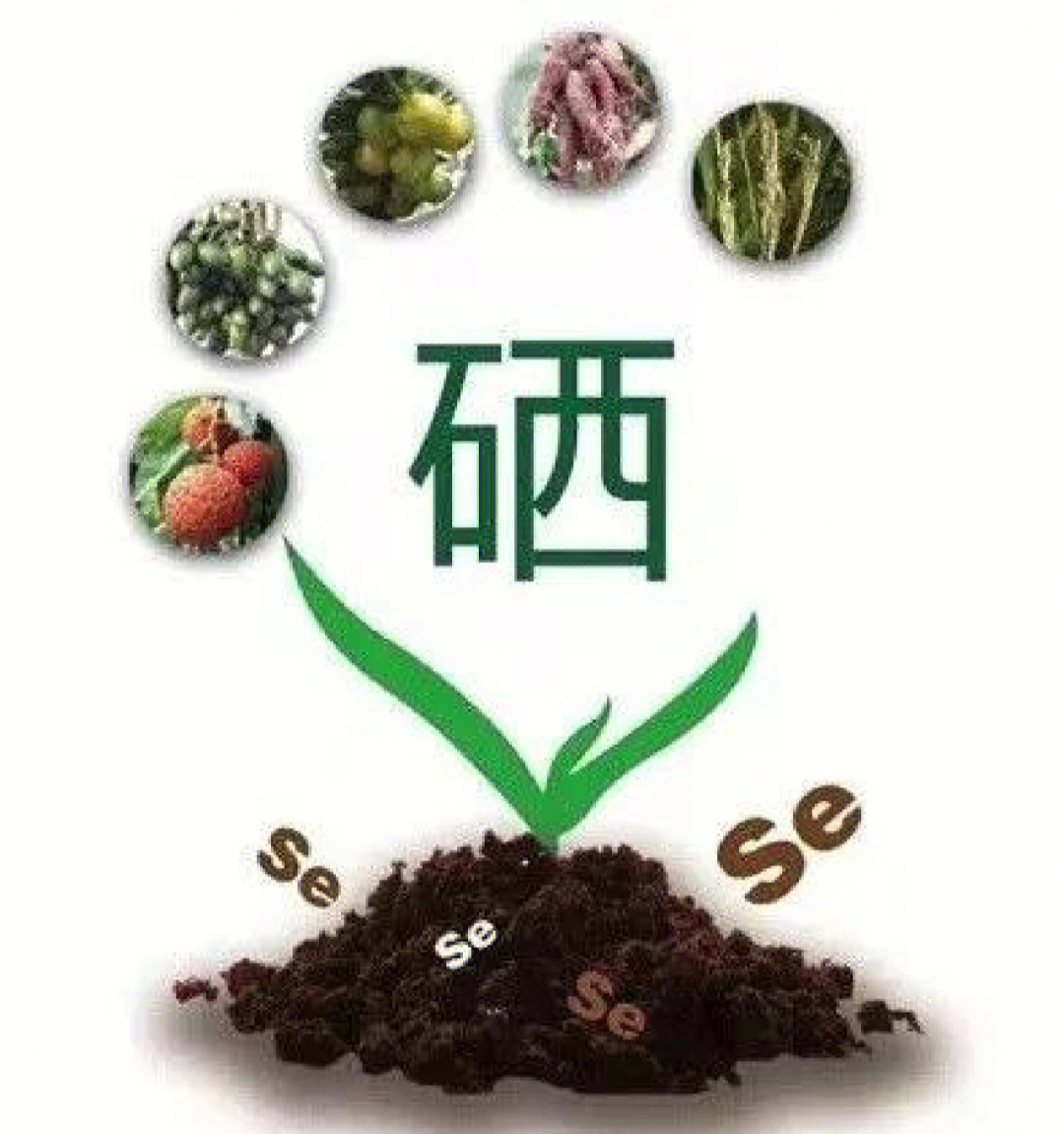 补硒提高视力(补硒对眼睛有哪些好处)-硒宝网