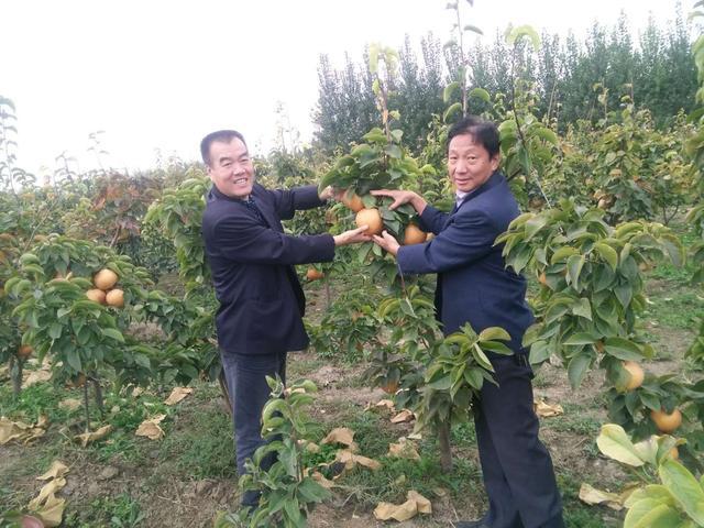 补硒人群参考（补充硒）-硒宝网