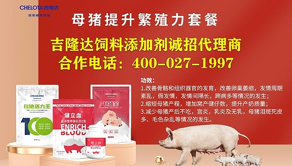 母猪补硒多少(母猪补硒用法及用量)-硒宝网