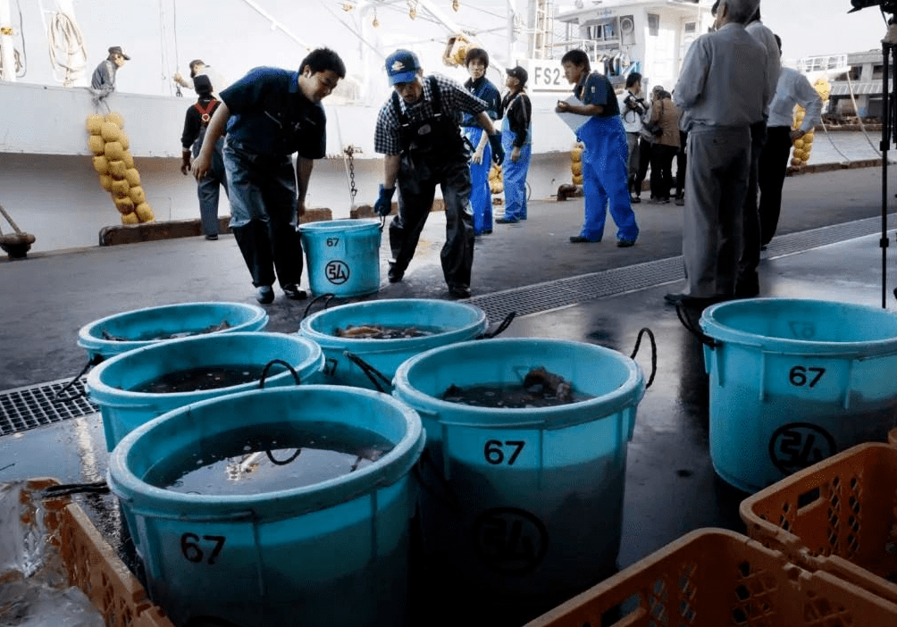 各国补硒状况(全球补硒日)-硒宝网