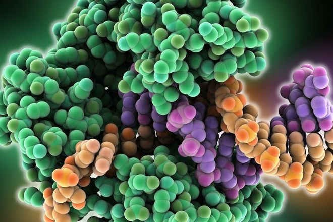 儿童散光补硒（补儿童散光硒有用吗）-硒宝网