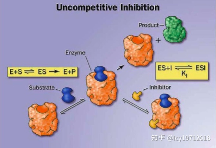 补硒抗hiv（硒可以抗艾滋病吗）-硒宝网