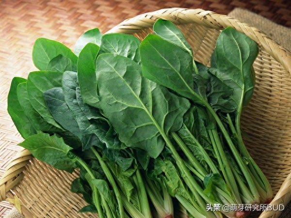 单纯补硒好吗（单纯补硒有什么弊端）-硒宝网