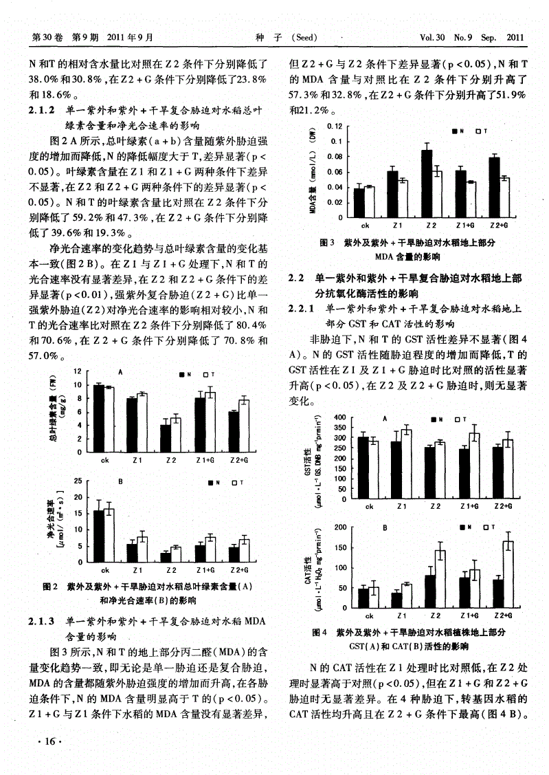 水培蔬菜补硒（蔬菜怎么富硒）-硒宝网