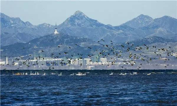 塘沽哪里补硒（补硒贴吧）-硒宝网