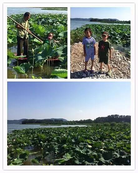 塘沽哪里补硒（补硒贴吧）-硒宝网