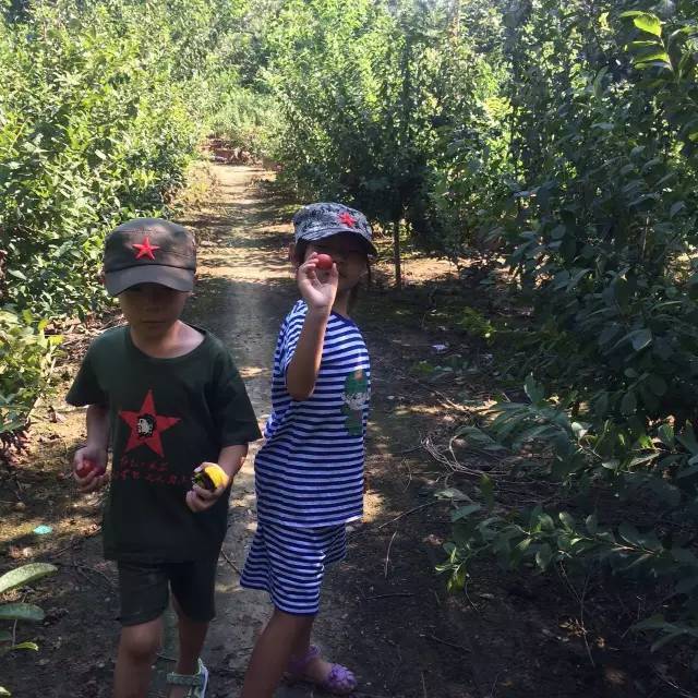 塘沽哪里补硒（补硒贴吧）-硒宝网