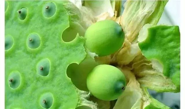 塘沽哪里补硒（补硒贴吧）-硒宝网