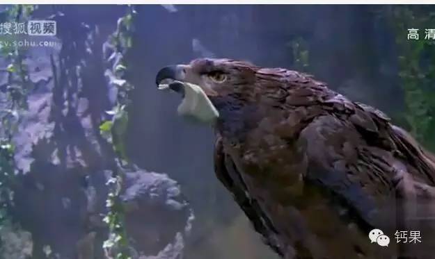 塘沽哪里补硒（补硒贴吧）-硒宝网