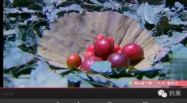 塘沽哪里补硒（补硒贴吧）-硒宝网