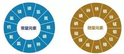 男性怎么补硒(男性补硒有什么好处)-硒宝网