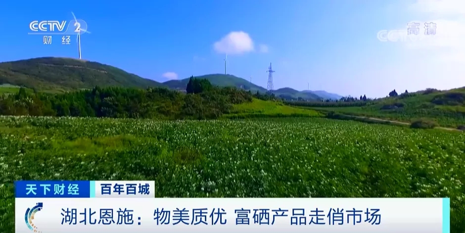 水培蔬菜补硒（蔬菜中的硒含量一般是多少）-硒宝网