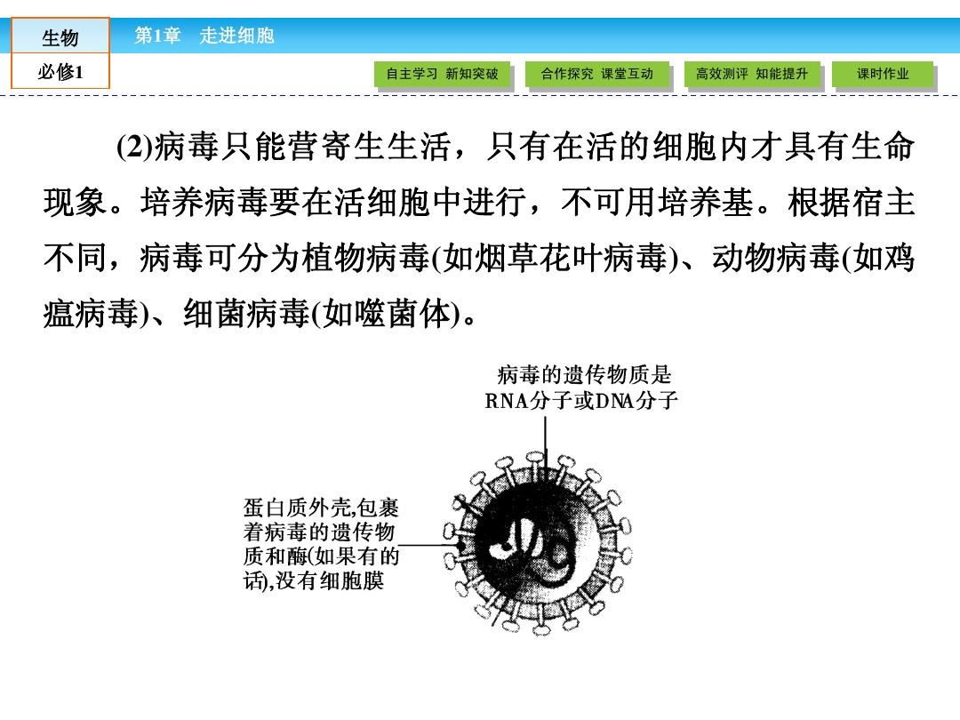 补硒抗hiv（抗hiv硒标法是什么东西）-硒宝网